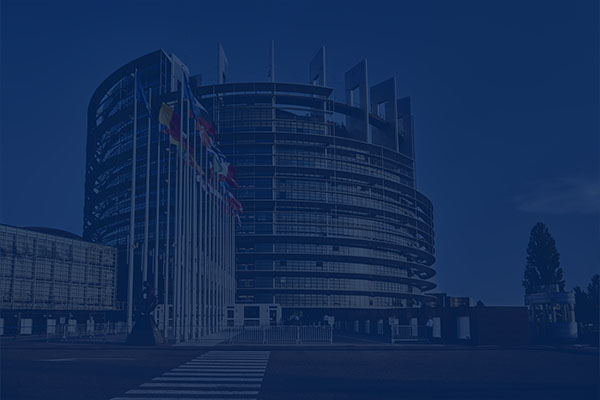 Doctorate of Political Science